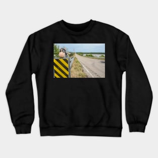 Cow filming location for Twister Crewneck Sweatshirt